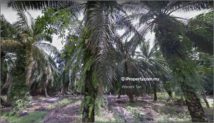 For Sale - Land For Sale In Tanjung Adang @ Tanjung Kupang