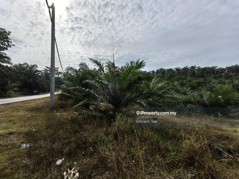 Agricultural Land for Sale in Bandar Mengkuang, Triang by Vincent Tee - iProperty.com.my