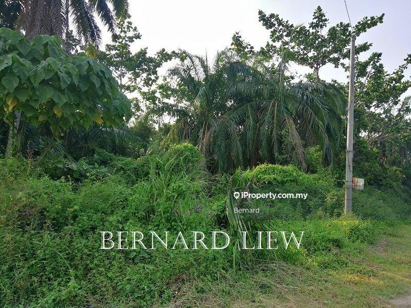 Agricultural Land for Sale in Seberang Perai Selatan, Nibong Tebal by Bernard - iProperty.com.my