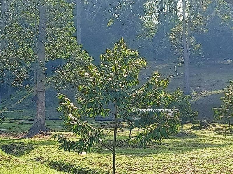 Tanah Pertanian untuk Dijual di Negeri Sembilan , Titi, Titi oleh Kew - iProperty.com.my