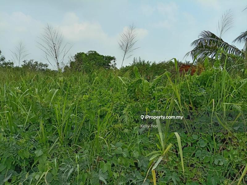 For Sale - Agriculture Land @ Kawasan Industri Ringan Asas Jaya for Sale