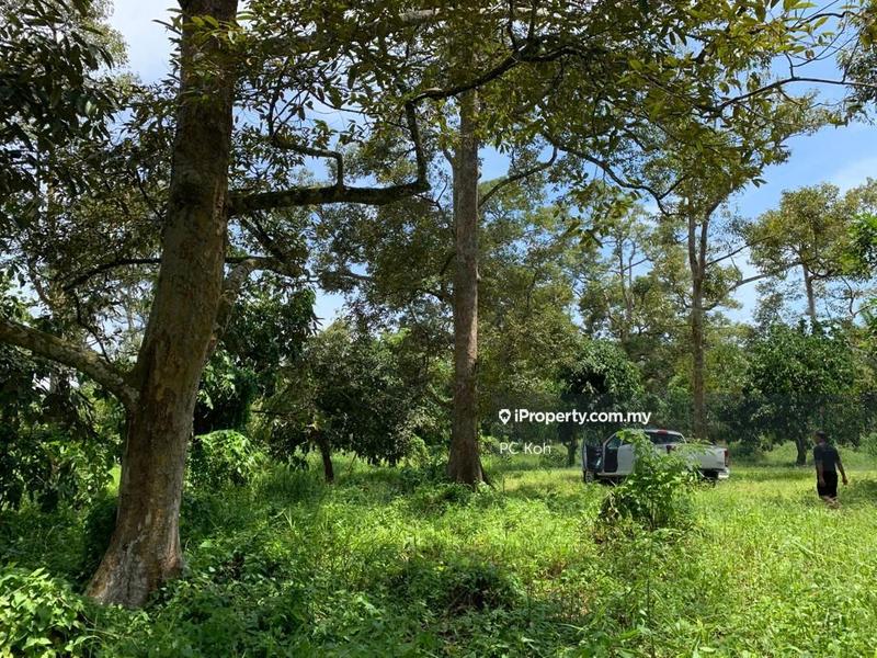 Tanah Pertanian untuk Dijual di Kesang Laut, Muar oleh PC Koh - iProperty.com.my