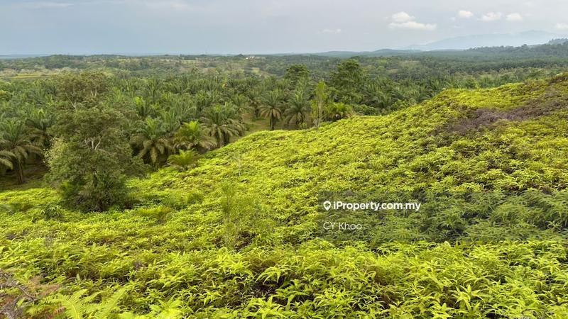 Agricultural Land for Sale in Johor Kulai 81000, Kulai by CY Khoo - iProperty.com.my