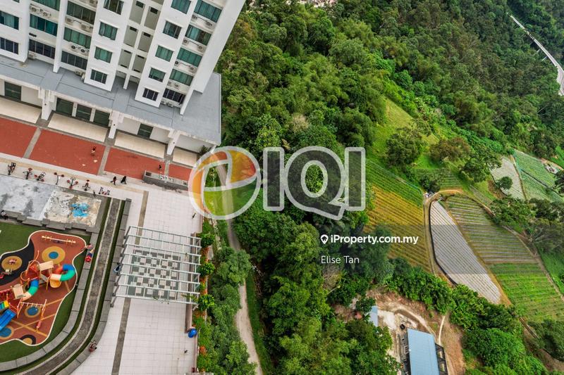 Condominium for Sale in Ramah Pavilion by Elise Tan - iProperty.com.my