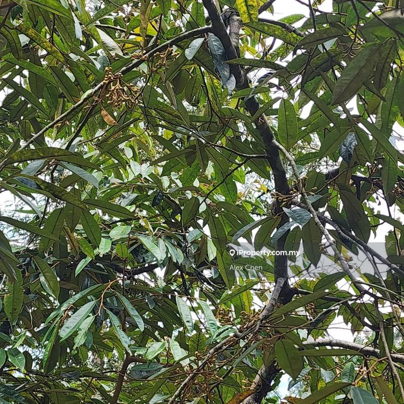 Agricultural Land for Sale in Taman Semanja, Kajang by Alex Chen - iProperty.com.my