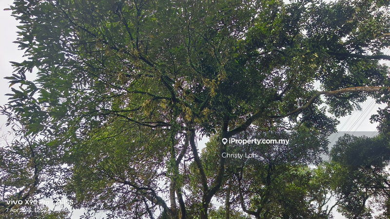 Tanah Pertanian untuk Dijual di Kawasan Perindustrian Bentong, Bentong oleh Christy Loh - iProperty.com.my