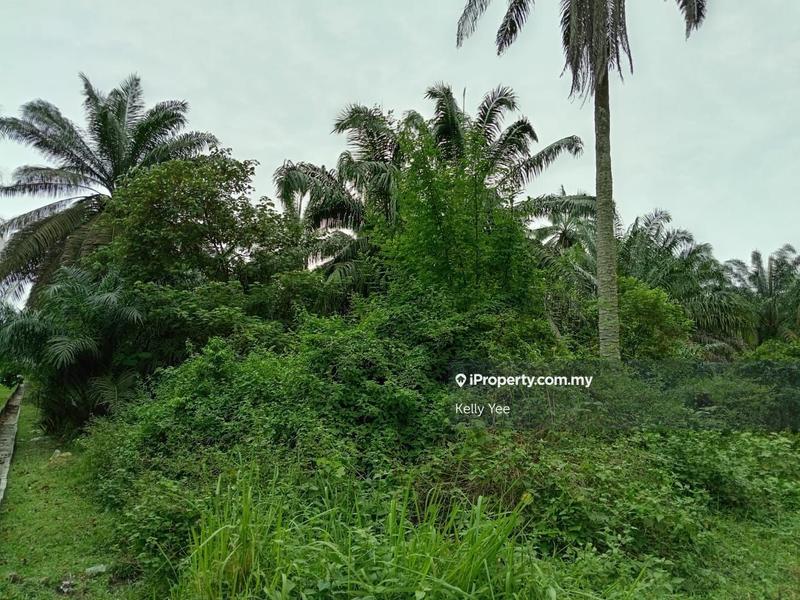Tanah Kediaman untuk Dijual di Sungai Jawi, Penang oleh Kelly Yee - iProperty.com.my