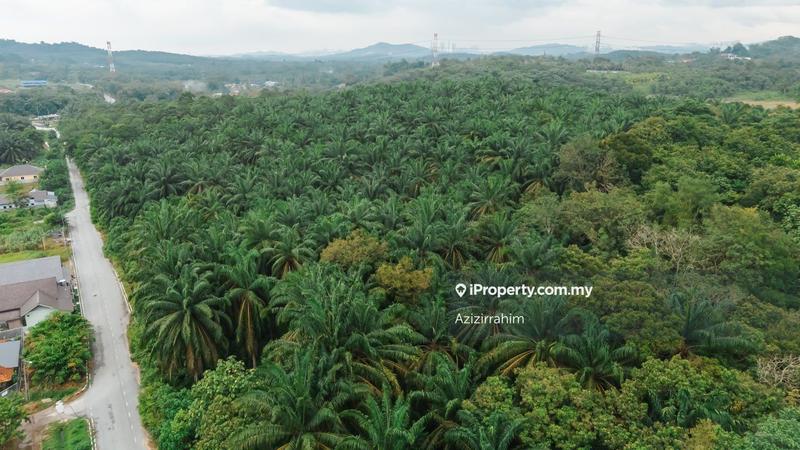 Tanah Pertanian untuk Dijual di Kampung Jenderam Hulu, Dengkil oleh Azizirrahim - iProperty.com.my