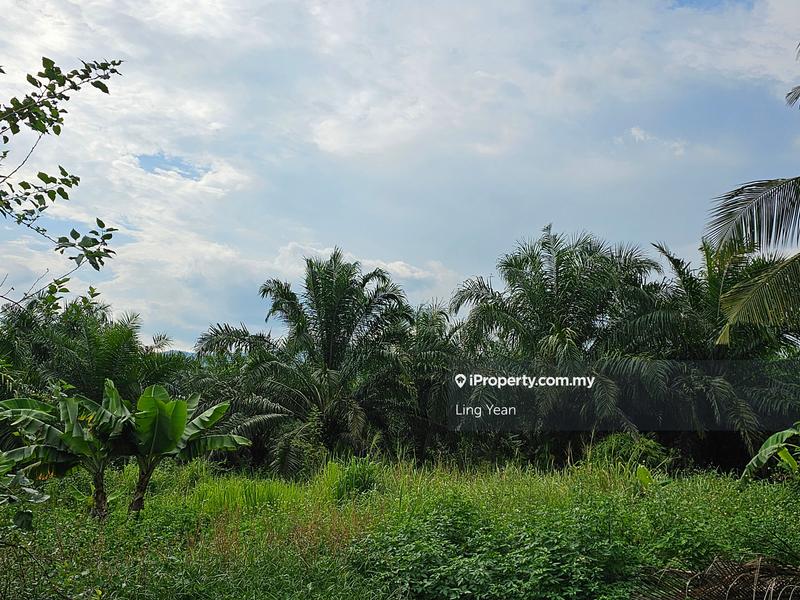 For Sale - Chepor Dalam