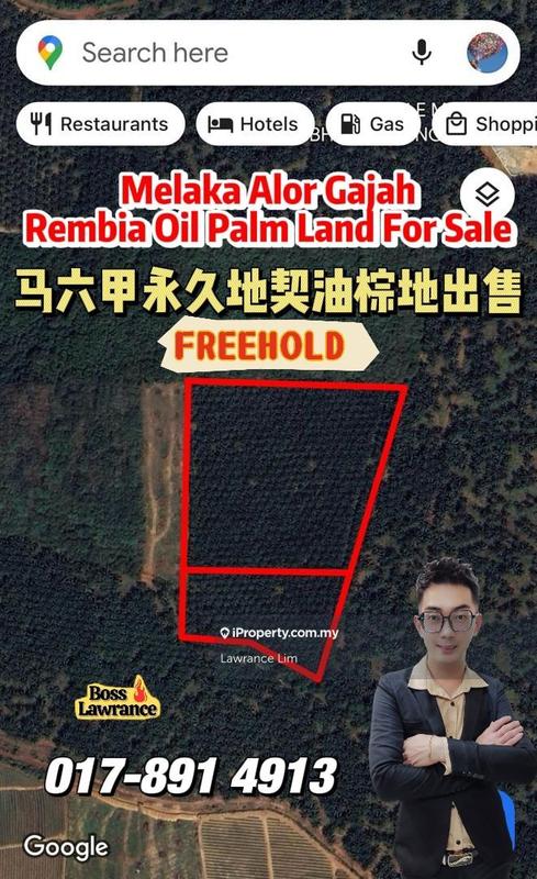 For Sale - Melaka Alor Gajah Rembia #FREEHOLD Agriculture Land For Sale