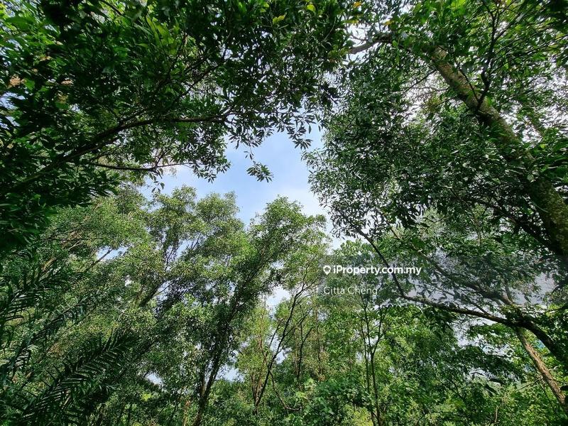 Banglo Tanah untuk Dijual di Bukit Damansara, Damansara Heights oleh Citta Cheng - iProperty.com.my