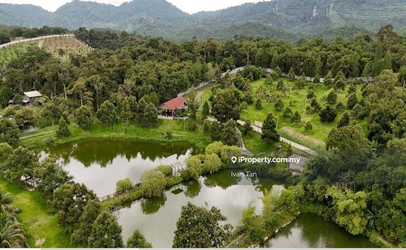 Tanah Pertanian untuk Dijual di Kampung Sungai Makau, Hulu Langat oleh Ivan Tan - iProperty.com.my