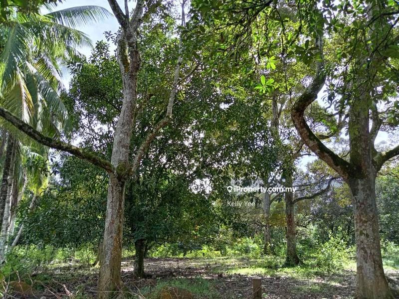 Tanah Pertanian untuk Dijual di Agriculture Land @ Labu Besar, Kulim for Sale, Kulim oleh Kelly Yee - iProperty.com.my