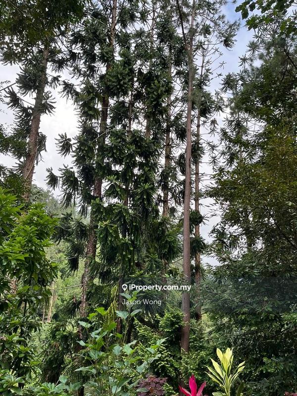 Bungalow Land for Sale in Bukit Tinggi, Bentong by Jason Wong - iProperty.com.my