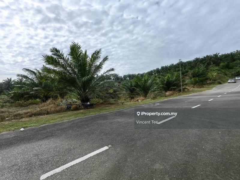 Agricultural Land for Sale in Bandar Mengkuang, Triang by Vincent Tee - iProperty.com.my