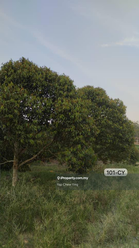 Industrial Land for Sale in 8.39Acre Zone Industrial @ Pekan Simpang Tiga, Ijok by Yap Chew Ying - iProperty.com.my