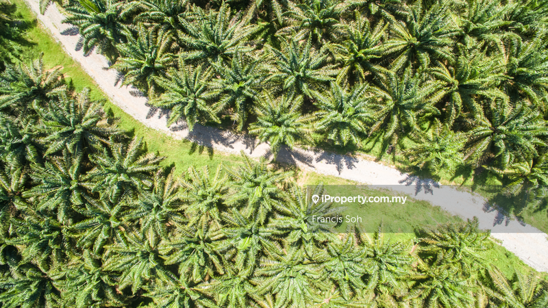 For Sale - Agricultural land for sale in Sabai, Bentong