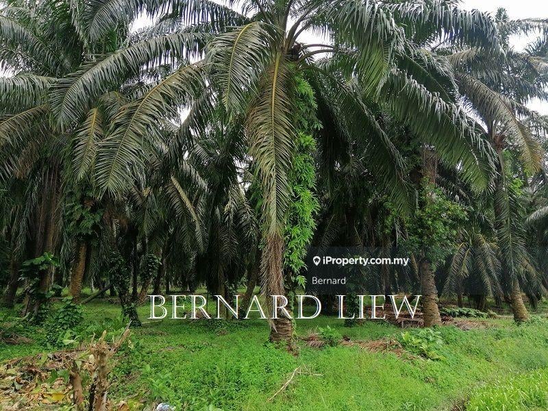 Agricultural Land for Sale in Kamunting, Kamunting by Bernard - iProperty.com.my