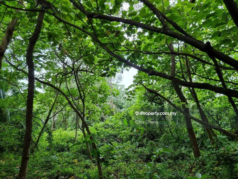 Bungalow Land for Sale in Taman Duta, Bukit Tunku (Kenny Hills) by Citta Cheng - iProperty.com.my