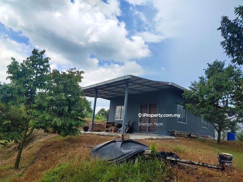 For Sale - Agriculture land