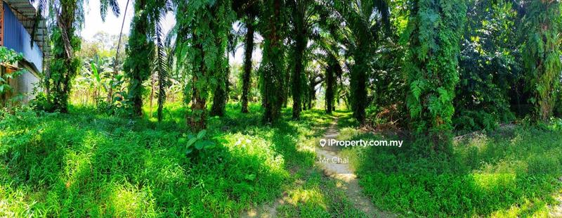 Tanah Pertanian untuk Dijual di Kuala Kubu Bharu, Kerling, (6 Acres), Kerling oleh Mr Chai - iProperty.com.my