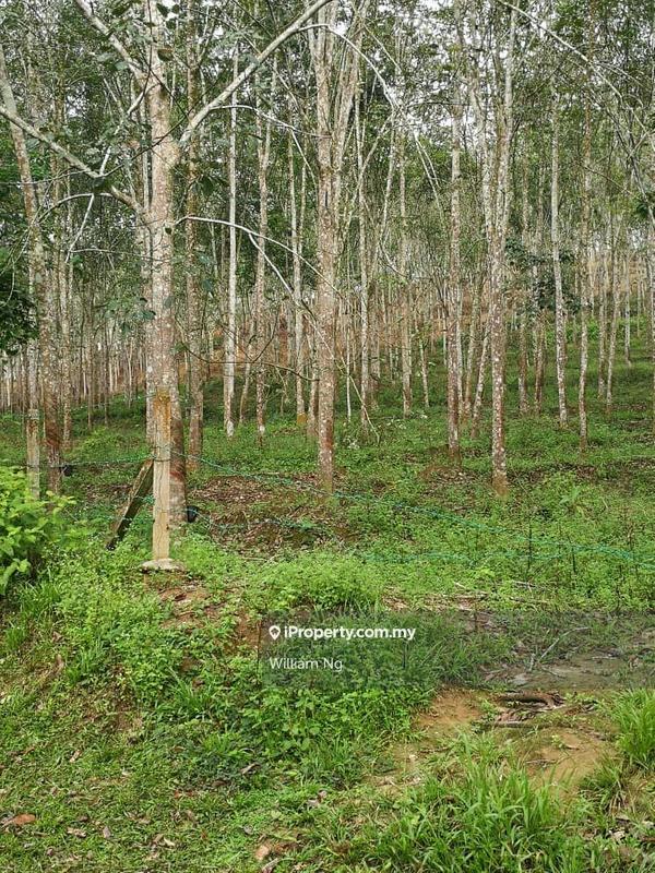 Tanah Pertanian untuk Dijual di Taman Jelebu, Kuala Klawang oleh William Ng - iProperty.com.my