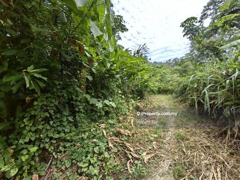 Tanah Pertanian untuk Dijual di Kampung Sungai Lalang, Semenyih oleh Vincent Tee - iProperty.com.my