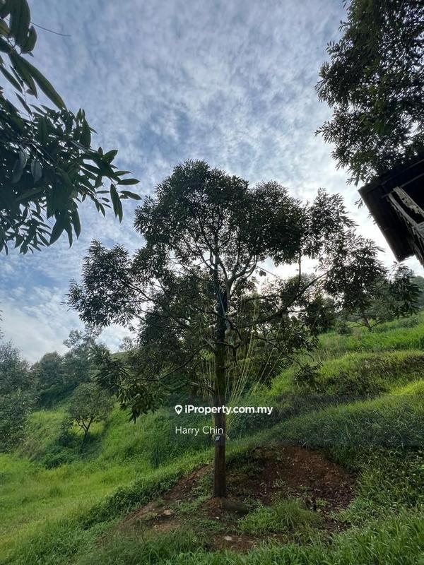 Agricultural Land for Sale in Bandar Tras, Raub by Harry Chin - iProperty.com.my