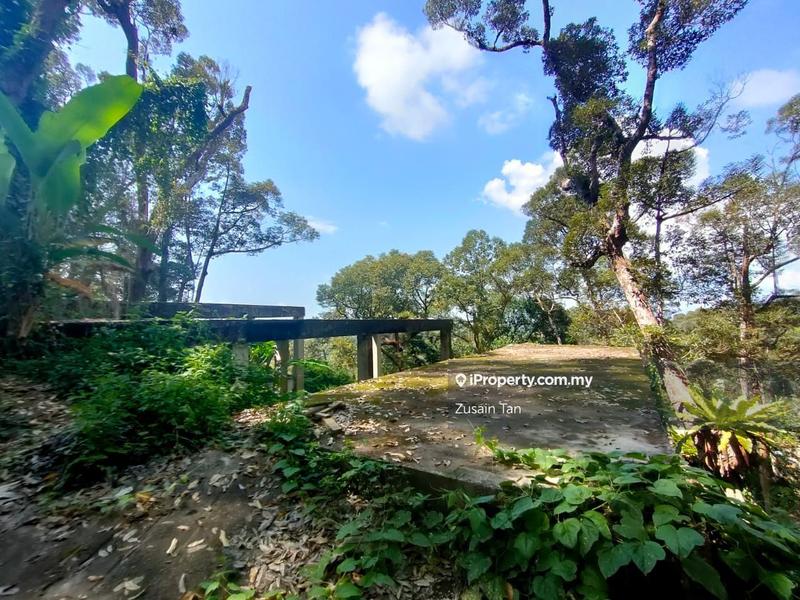 Agricultural Land for Sale in Pulau Betong, Balik Pulau by Zusain Tan - iProperty.com.my