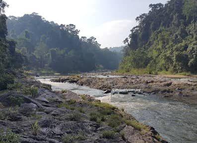 Agricultural Land for Sale in Primary Rain Forest Land in Ulu Tembeling for Sale, Jerantut by Kelly Yee - iProperty.com.my