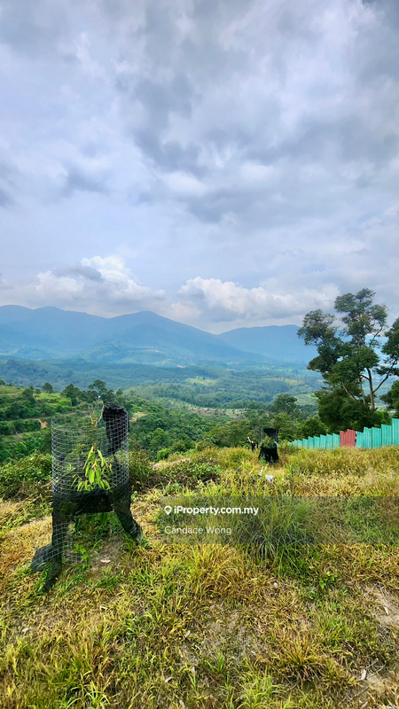 Agricultural Land for Sale in Kampung Sungai Lalang, Semenyih by Candace Wong - iProperty.com.my