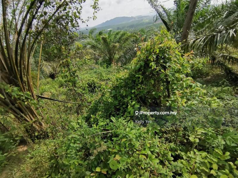 For Sale - Agriculture Land in Pagoh for Sale
