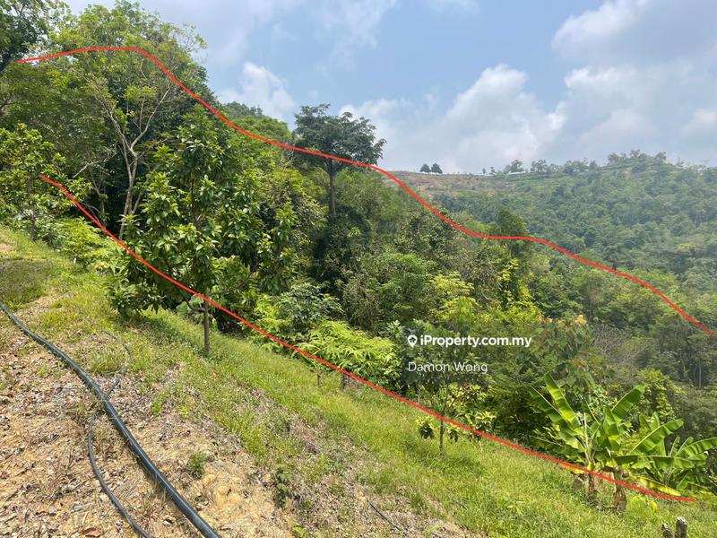 Agricultural Land for Sale in Karak, Bentong by Damon Wong - iProperty.com.my