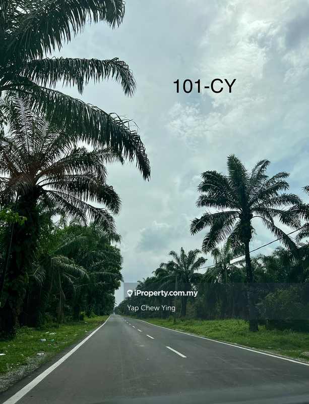 Agricultural Land for Sale in Bandar Parklands, Klang by Yap Chew Ying - iProperty.com.my