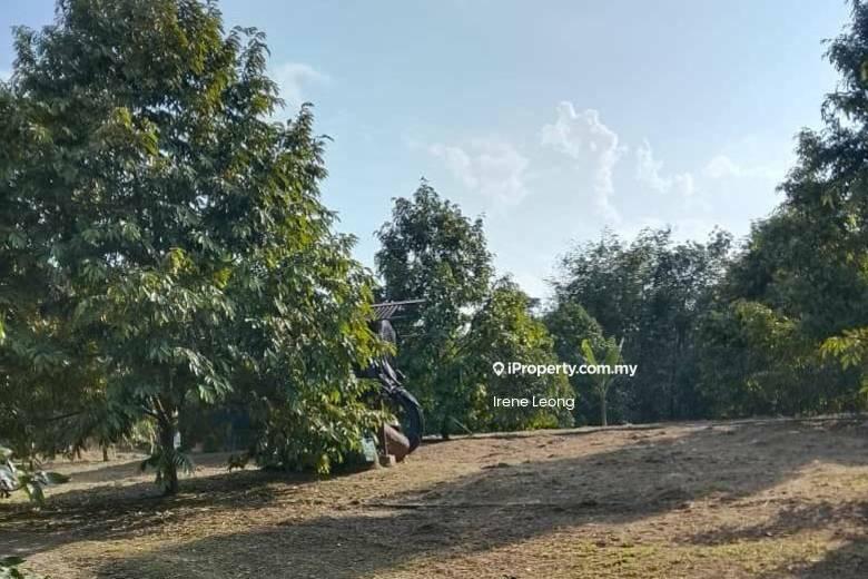 Agricultural Land for Sale in Karak, Pahang by Irene Leong - Exterior - iProperty.com.my
