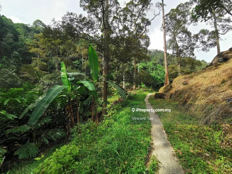 Agricultural Land for Sale in Sungai Nibong, Bayan Lepas by Vincent Tee - iProperty.com.my