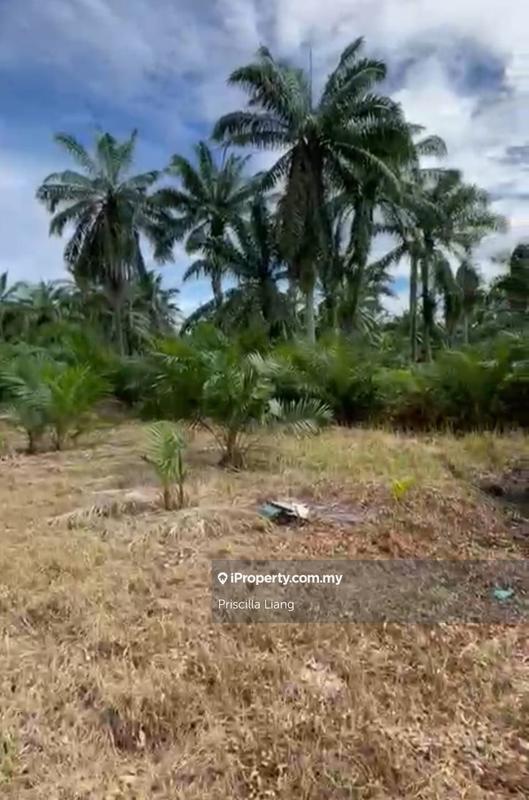 Tanah Pertanian untuk Dijual di Tanjung Dua Belas, Banting oleh Priscilla Liang - iProperty.com.my