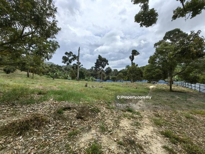 Tanah Pertanian untuk Dijual di Cheroh, Raub oleh Vincent Tee - iProperty.com.my