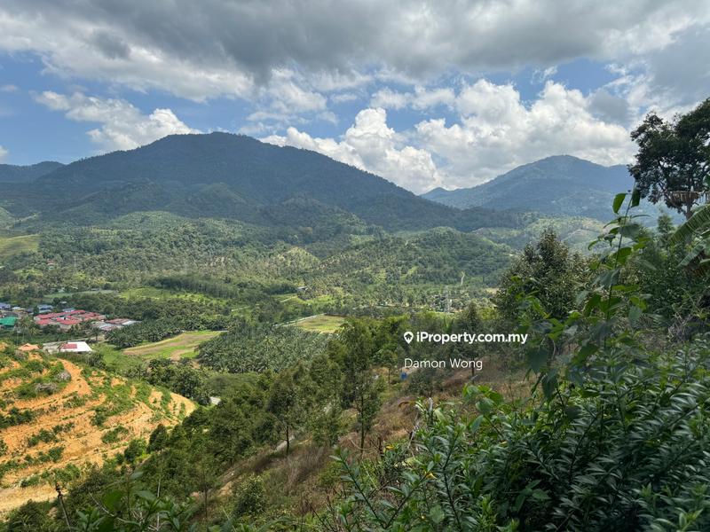 Agricultural Land for Sale in Bandar Tras, Raub by Damon Wong - iProperty.com.my