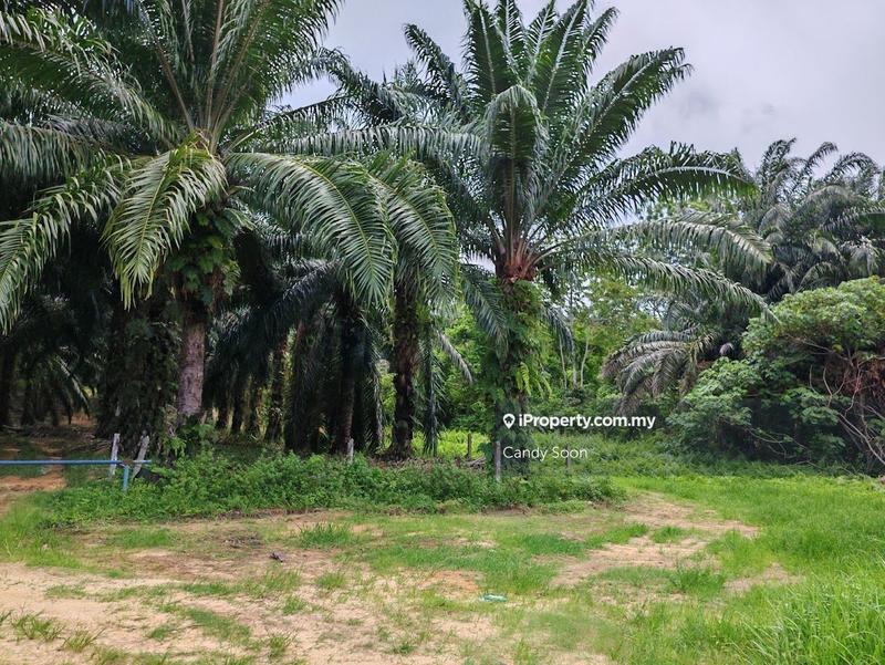 Tanah Pertanian untuk Dijual di Taman Rembau Utama, Rembau oleh Candy Soon - iProperty.com.my