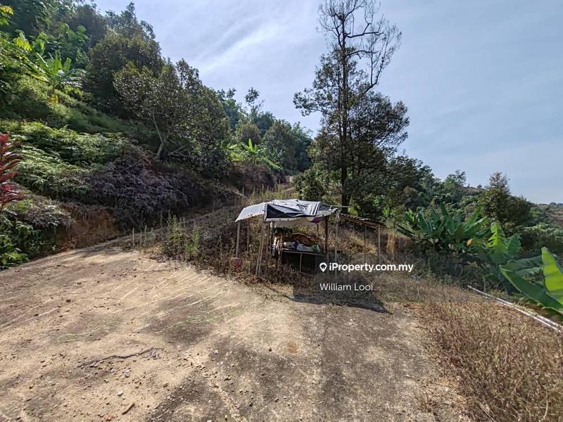 Agricultural Land for Sale in Tras, Raub by William Looi - iProperty.com.my