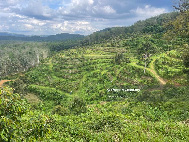 Tanah Pertanian untuk Dijual di Telemong, Bentong oleh Damon Wong - iProperty.com.my