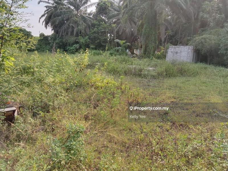 Agricultural Land for Rent in Agriculture Land along Jalan Kulim, Bukit Mertajam by Kelly Yee - iProperty.com.my