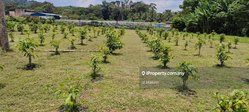Agricultural Land for Sale in Batang Kali, Selangor by Iz Hakim - iProperty.com.my