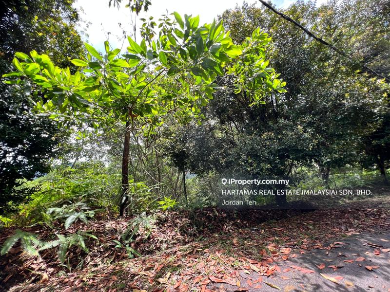 Bungalow Land for Sale in Bukit Tinggi, Bentong by Jordan Teh - iProperty.com.my