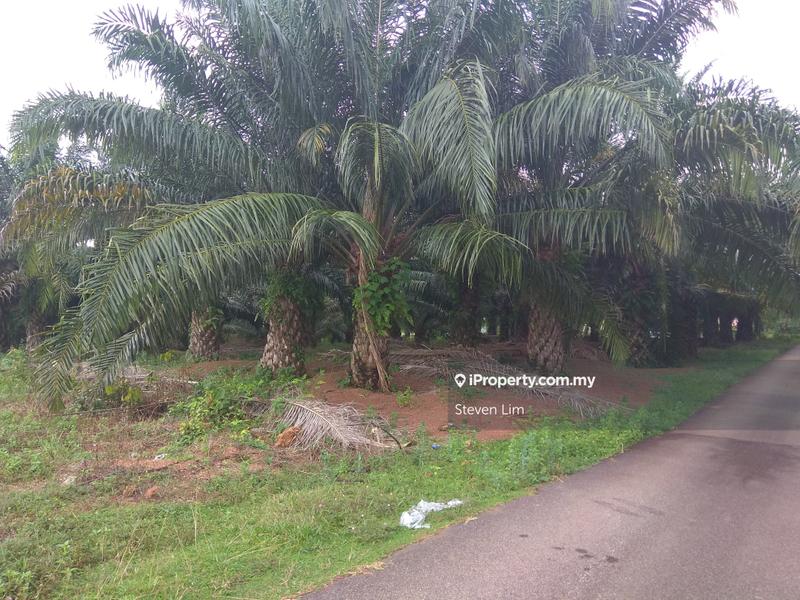 Agricultural Land for Sale in Taman Satu Krubong, Krubong by Steven Lim - iProperty.com.my