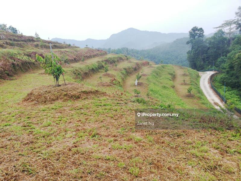 Agricultural Land for Sale in Taman Ampang Pecah, Kuala Kubu Bharu by Janet Ng - iProperty.com.my