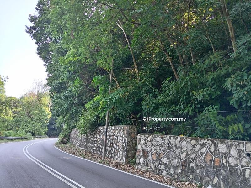 Agricultural Land for Sale in Teluk Tempoyak, Batu Maung by Kelly Yee - iProperty.com.my