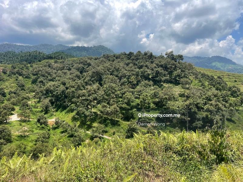 Tanah Pertanian untuk Dijual di Karak, Bentong oleh Damon Wong - iProperty.com.my