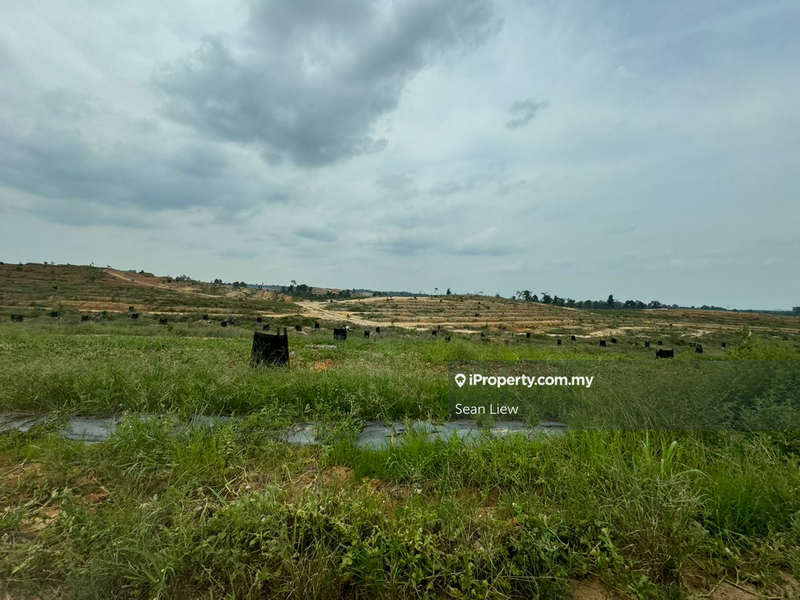 Agricultural Land for Rent in Jalan Raja Musa , Kuala Selangor, Kuala Selangor by Sean Liew - iProperty.com.my